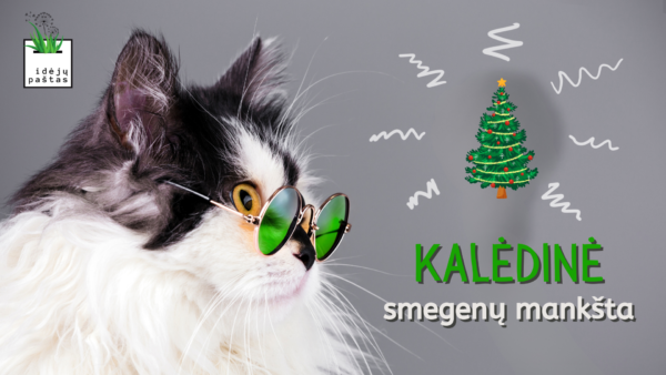 KALĖDINIS atminties lavinimo ŽAIDIMAS VAIKAMS smegenų mankšta skaidrės KALĖDINIS atminties lavinimo ŽAIDIMAS VAIKAMS smegenų mankšta skaidrės