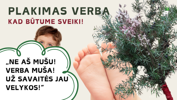 VELYKŲ TRADICIJOS IR PAPROČIAI verbų sekmadienis