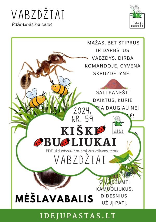 VABZDŽIAI užduotys apie vabzdžius vabalus vaikams pdf spausdinti skruzdėlė ir mėšlavabalis_ pažintinės kortelės