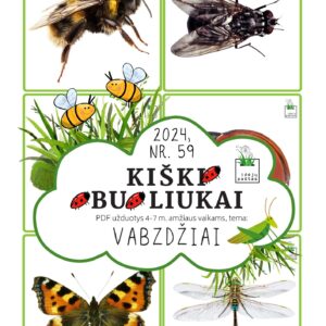 VABZDŽIAI užduotys apie vabzdžius vabalus vaikams pdf spausdinti paveikslėlių kortelės atminties žaidimas