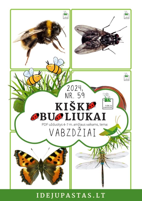 VABZDŽIAI užduotys apie vabzdžius vabalus vaikams pdf spausdinti paveikslėlių kortelės atminties žaidimas