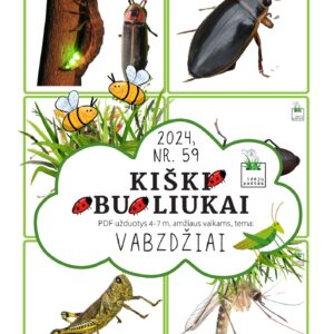 VABZDŽIAI užduotys apie vabzdžius vabalus vaikams pdf spausdinti paveikslėlių kortelės atminties žaidimas