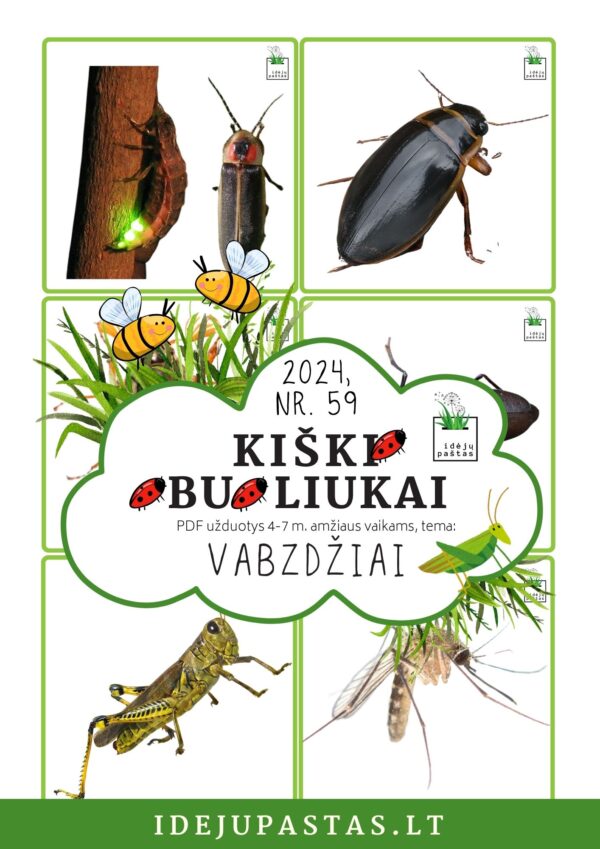 VABZDŽIAI užduotys apie vabzdžius vabalus vaikams pdf spausdinti paveikslėlių kortelės atminties žaidimas