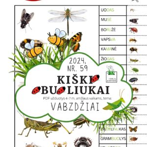 VABZDŽIAI užduotys apie vabzdžius vabalus vaikams pdf spausdinti lietuvos vabzdžiai
