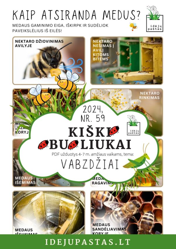 medaus gaminimo kelias ir etapai vaikams užduotis vaikams pdf kiškio obuoliukai vabzdžiai paveikslėliai