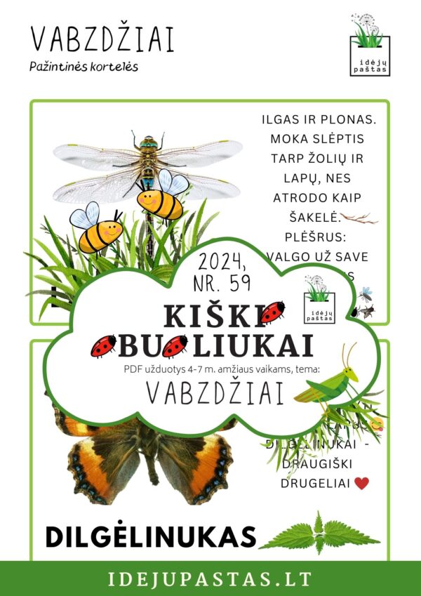 VABZDŽIAI užduotys apie vabzdžius vabalus vaikams pdf spausdinti LAUMŽIRGIS ir dilgėlinukas pažintinės kortelės