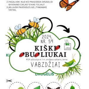 drugelio gyvenimo ciklas užduotis vaikams pdf kiškio obuoliukai vabzdžiai