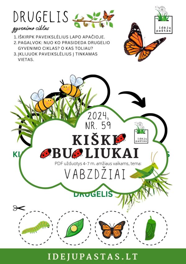 drugelio gyvenimo ciklas užduotis vaikams pdf kiškio obuoliukai vabzdžiai