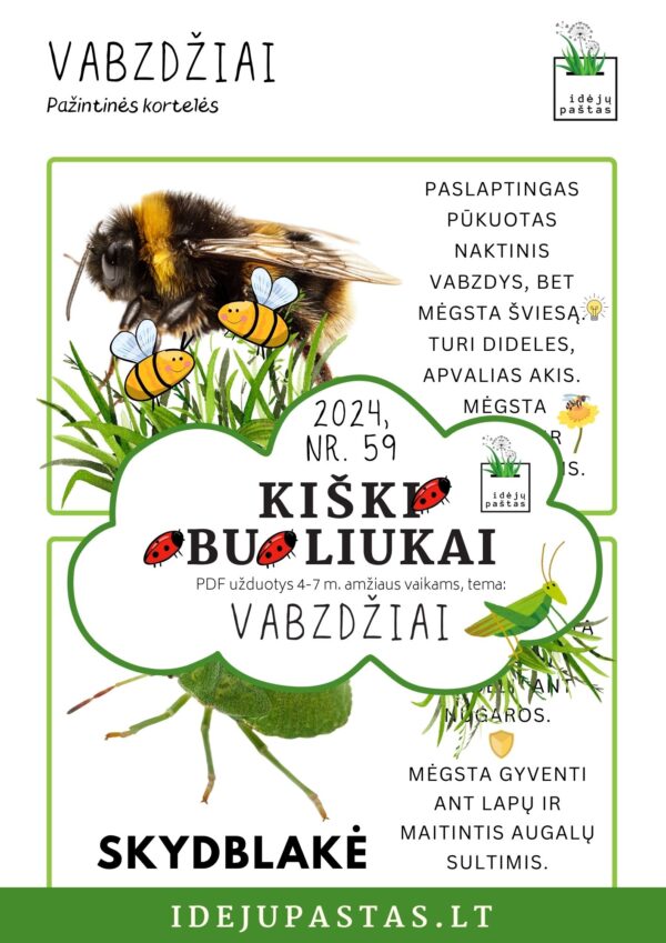 VABZDŽIAI užduotys apie vabzdžius vabalus vaikams pdf spausdinti kamanė ir skydblakė_ pažintinės kortelės