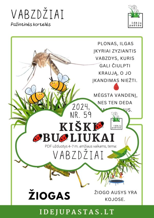 VABZDŽIAI užduotys apie vabzdžius vabalus vaikams pdf spausdinti uodas ir žiogas_ pažintinės kortelės