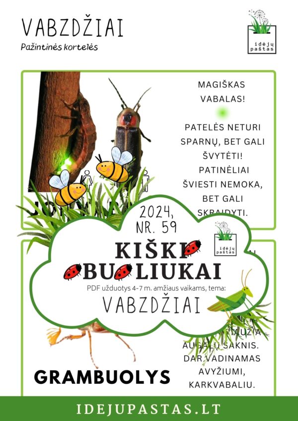 VABZDŽIAI užduotys apie vabzdžius vabalus vaikams pdf spausdinti jonvabalis ir skruzdėlė_ pažintinės kortelės