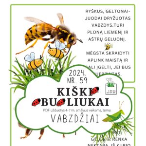 VABZDŽIAI užduotys apie vabzdžius vabalus vaikams pdf spausdinti vapsva ir bitė_ pažintinės kortelės