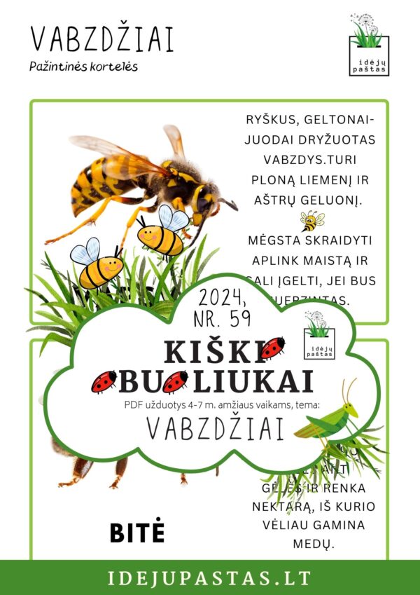 VABZDŽIAI užduotys apie vabzdžius vabalus vaikams pdf spausdinti vapsva ir bitė_ pažintinės kortelės