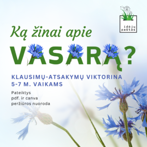viktorina vaikams ką žinai apie vasarą klausimai atsakymai