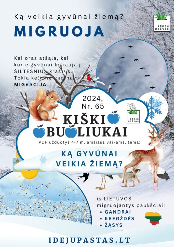 KĄ GYVŪNAI VEIKIA ŽIEMĄ UŽDUOTYS vaikams pdf spausdinti plakatas migracija