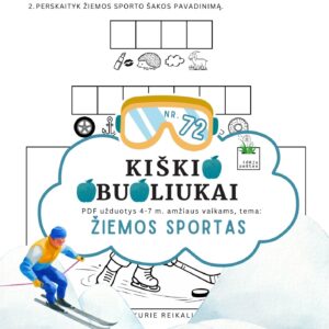 užduotys žiemos sportas vaikams ledo ritulys
